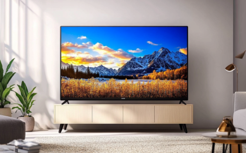 Insignia 24 Inch Tv