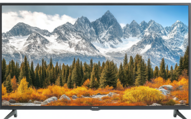 Insignia 55 Inch TV